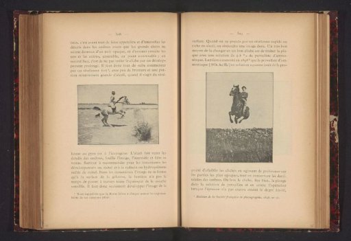 Horse and Rider Jumping over a Wall