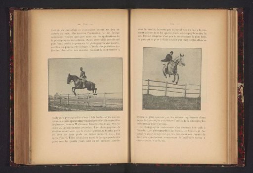 Horse and Rider Jumping over a Gate