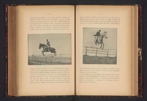 Horse and Rider Jumping over a Gate