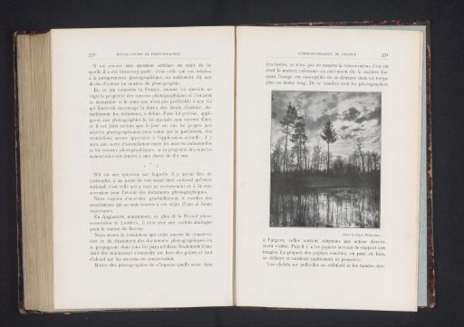 Landscape with a pond