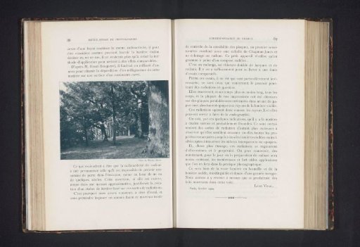 Forest View