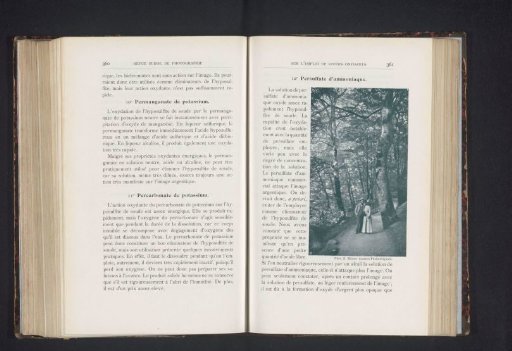 Forest path with a couple