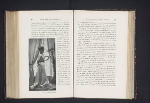 Portrait of an Unknown Woman by the Window