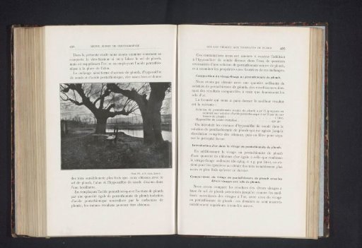 Landscape with a Bench