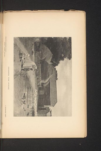 Woman and two children feeding ducks