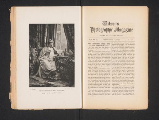 Portrait of an unknown woman by a window