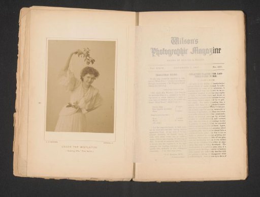 Portrait of an unknown woman with mistletoe