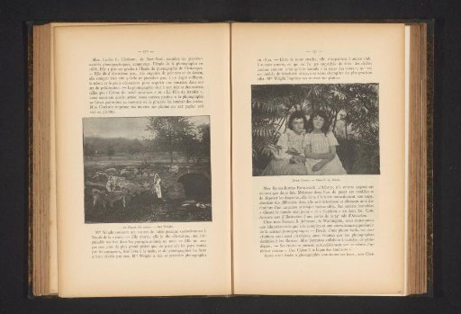 Woman in front of a stone bridge in a meadow with cows