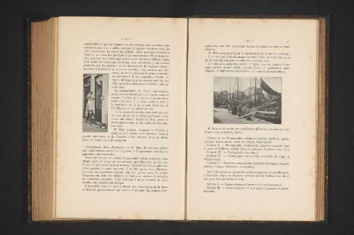 Ship in the harbour of Zaandam