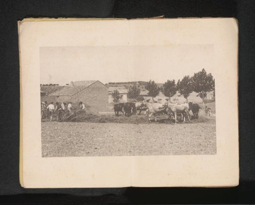 View of a number of horses and a number of unknown peasants at a farm
