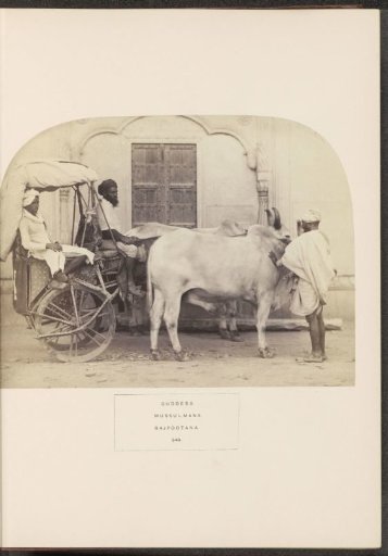Three unknown men from the Muslim Gaddi community with a bullock cart, India