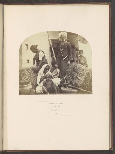 Family of grass cutters between bales of grass in Chennai, Tamil Nadu, India
