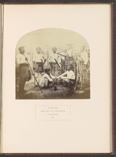 Portrait of seven unknown Bawean men with agricultural implements in Singapore