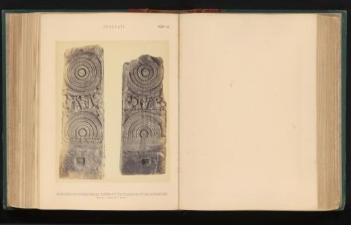 Pillars with relief, Amaravati, Andhra Pradesh, India
