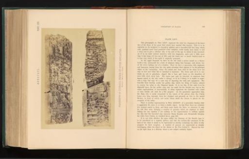 Two fragments of a frieze with relief, Amaravati, Andhra Pradesh, India