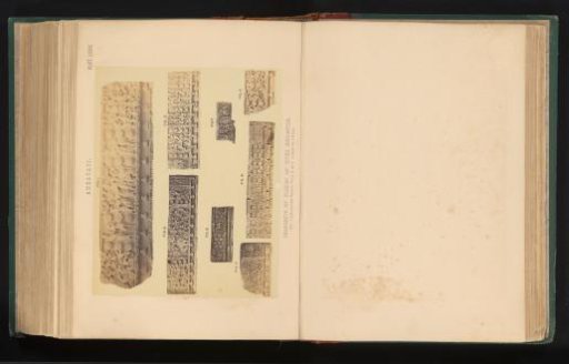 Eight fragments of friezes with relief, Amaravati, Andhra Pradesh, India