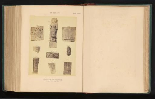 Nine fragments of sculptures, Amaravati, Andhra Pradesh, India