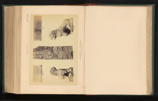 Five fragments of sculptures, Amaravati, Andhra Pradesh, India