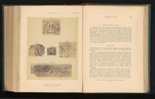 Five fragments of sculptures, Amaravati, Andhra Pradesh, India