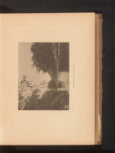 View of a river