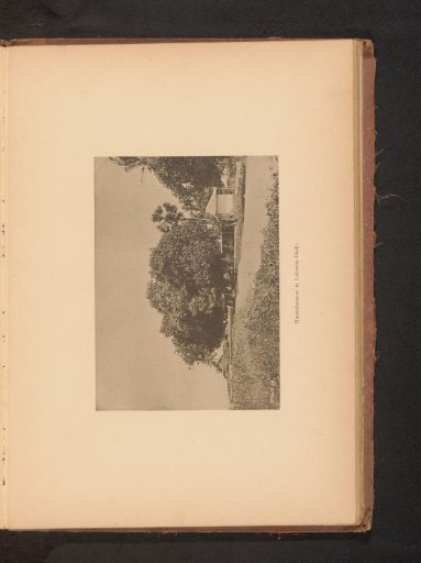 View of a Harbor Office Among Trees