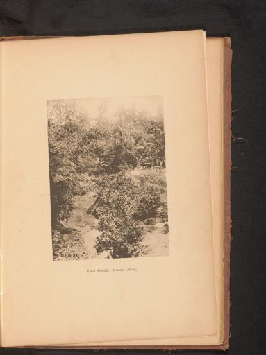 View of a body of water in a wooded area