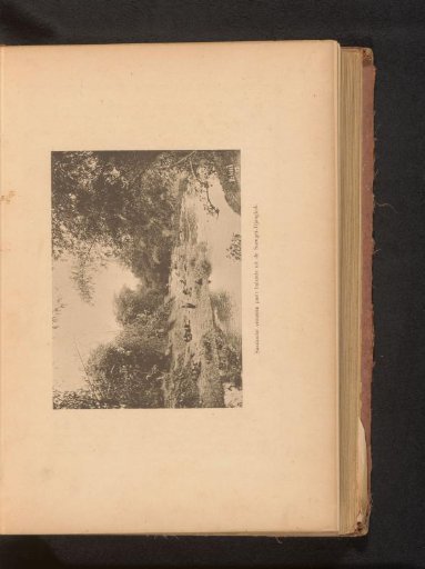 Unknown women on the bank of a river