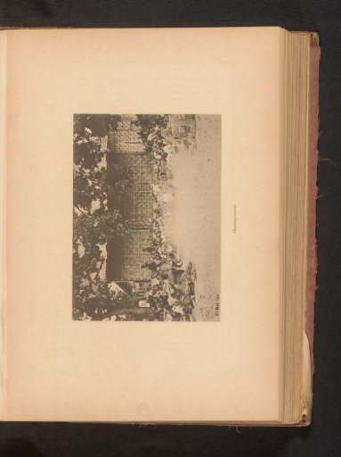View of a group of unknown persons in a circle for a cockfight