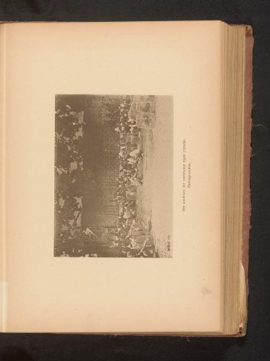View of a group of unknown persons in a circle for a cockfight with two unknown men in the middle holding roosters in their hands