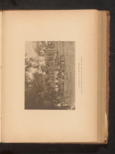 View of a group of unknown people during a funeral