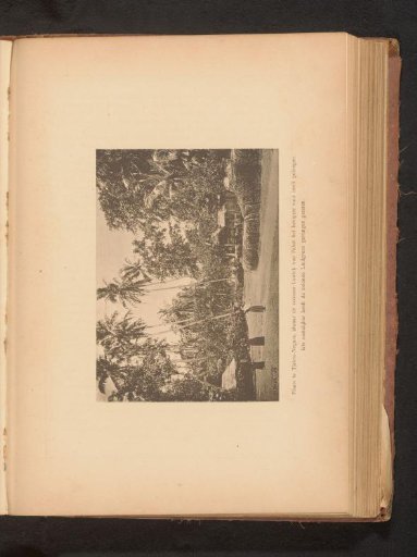 Three unknown women with baskets on their heads