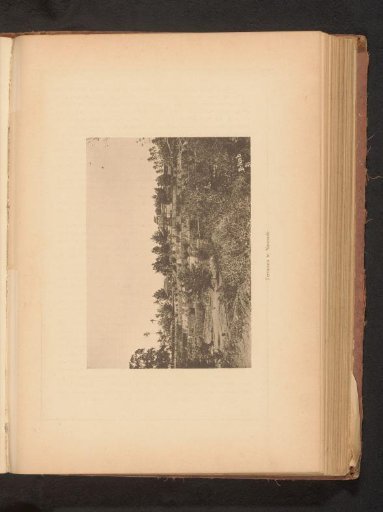 View of Narmada