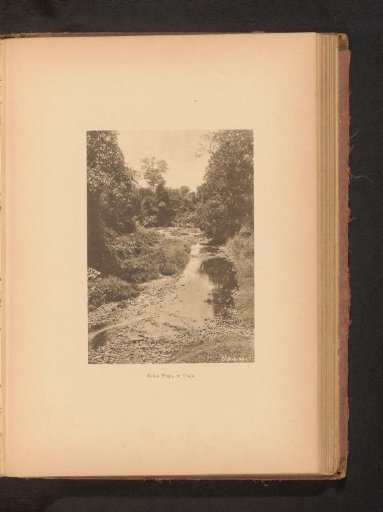 View of a river in a wooded area