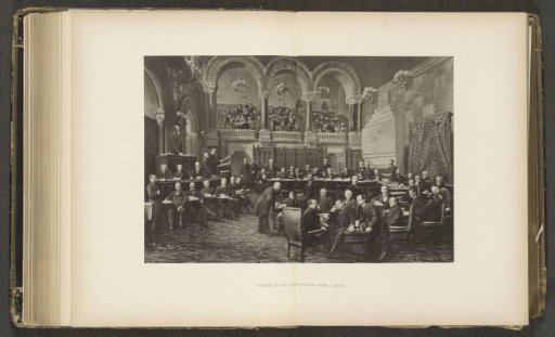 Senate of the State of New York