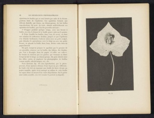 Leaf of what is probably ivy with a portrait of an unknown girl