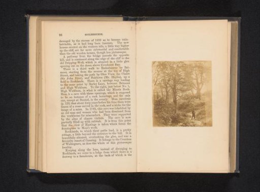 Unknown Man in the Woods near Ecclesbourne Glen