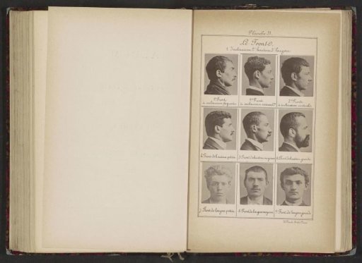 Nine Male Heads, Arranged According to the Shape of Their Foreheads