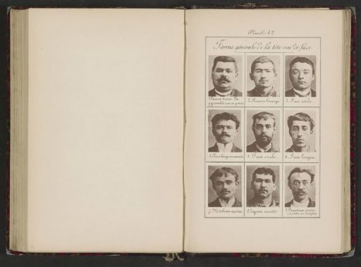 Nine Male Heads in Frontal View, Arranged According to the Shape of Their Heads