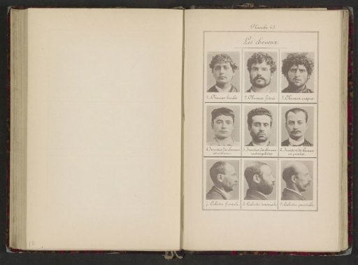 Nine Male Heads, Arranged According to Their Hair