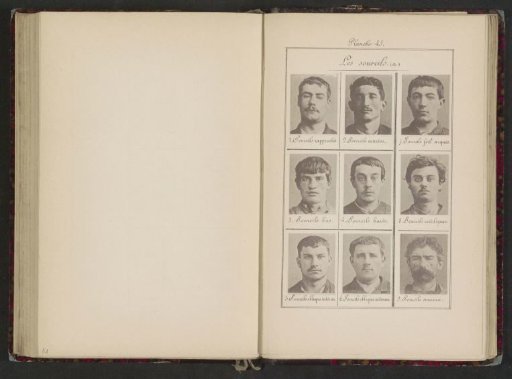 Nine Male Heads in Frontal View, Arranged According to the Shape of Their Eyebrows