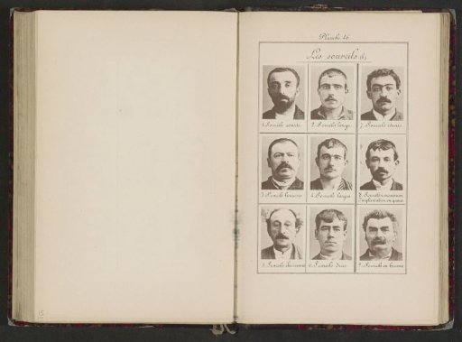 Nine Male Heads in Front View, Arranged According to the Shape of Their Eyebrows