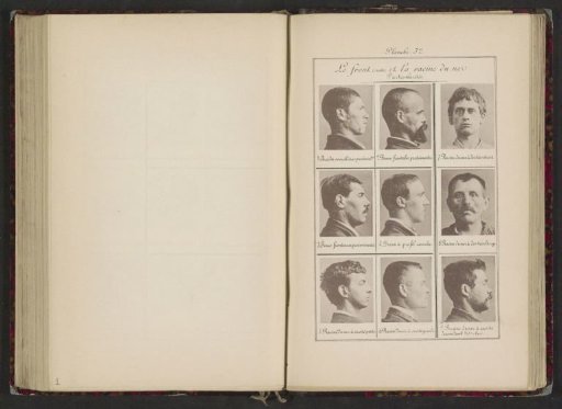 Nine Male Heads, Arranged According to the Shape of Their Nasal Bridges