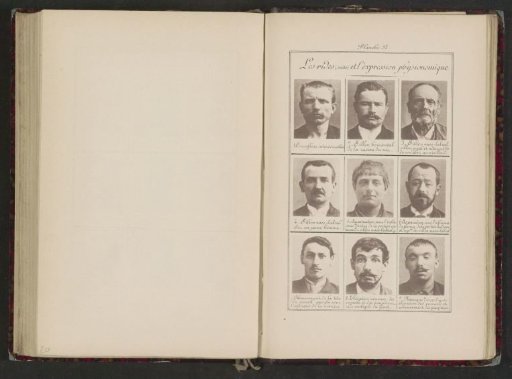 Nine male heads in front view, arranged by their forehead wrinkles during facial expressions