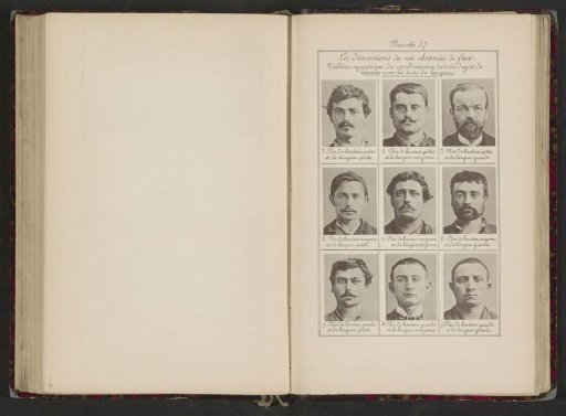 Nine Male Heads in Front View, Arranged According to the Dimensions of Their Noses