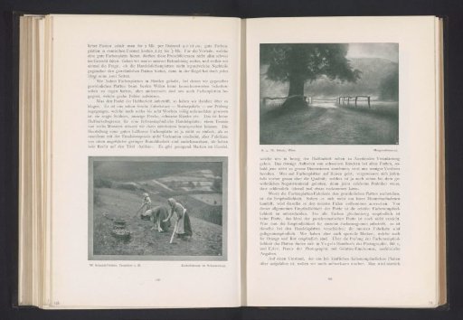 Landscape with a tree