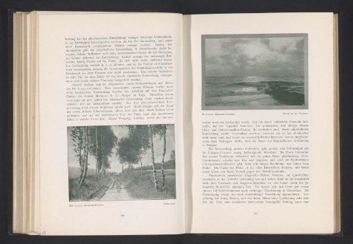 View of the North Sea