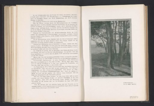 Landscape with trees