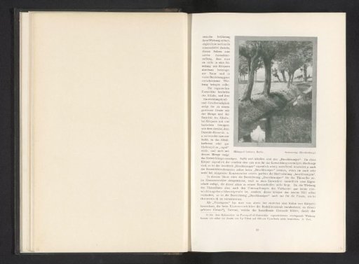 Landscape with ditch