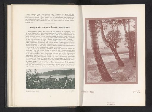 Landscape with trees