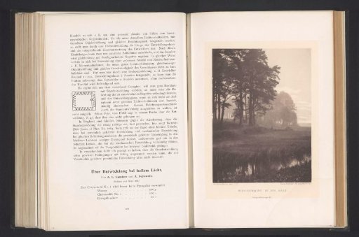 Landscape in mist